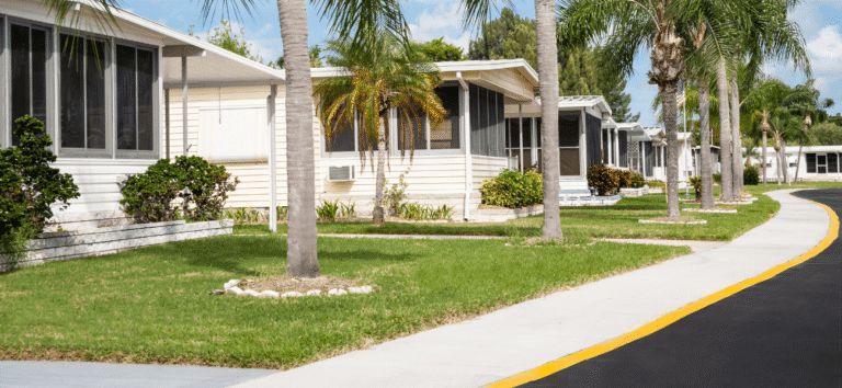 Untitled design (15) (1)