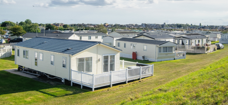 Untitled design (19)